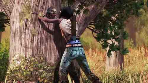 The Walking Dead Michonne ISO