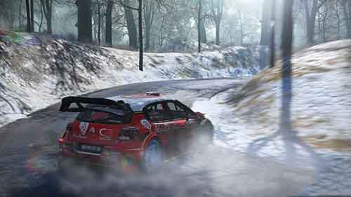 WRC 7: World Rally Championship PKG
