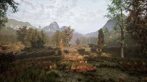 The Dead Tree of Ranchiuna